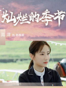 灿烂的季节剧情介绍_剧情家