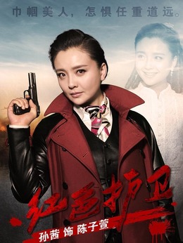 红色护卫剧情介绍_剧情家