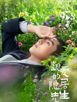 亲爱的隐居先生剧情介绍_剧情家