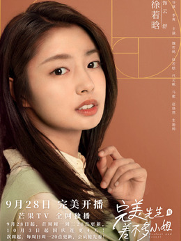 完美先生和差不多小姐剧情介绍_剧情家