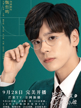 完美先生和差不多小姐剧情介绍_剧情家