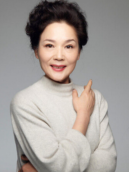 张灯结彩之美丽梦想剧情介绍_剧情家
