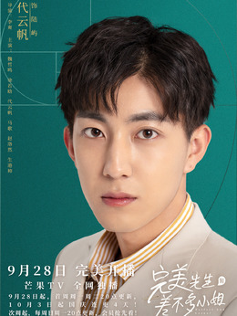 完美先生和差不多小姐剧情介绍_剧情家