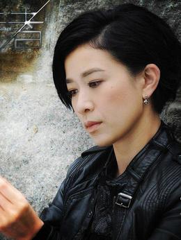 使徒行者剧情介绍_剧情家