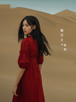 西出玉门剧情介绍_剧情家