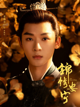 锦绣安宁剧情介绍_剧情家