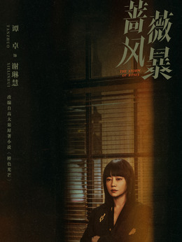 蔷薇风暴剧情介绍_剧情家