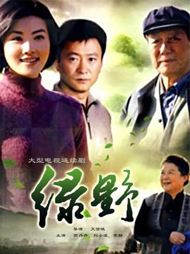 绿野剧情介绍_剧情家