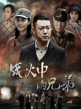 战火中的兄弟剧情介绍_剧情家