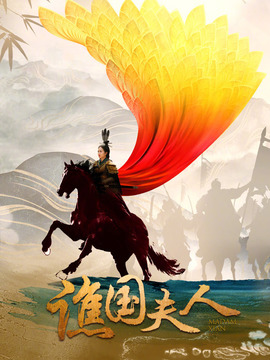 谯国夫人剧情介绍_剧情家