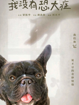 我没有恐犬症剧情介绍_剧情家