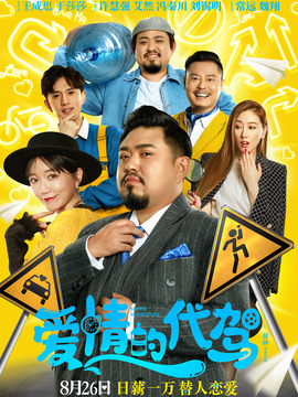 爱情的代驾剧情介绍_剧情家