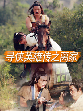寻侠英雄传之护花剧情介绍_剧情家