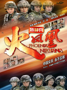 我是特种兵之火凤凰剧情介绍_剧情家
