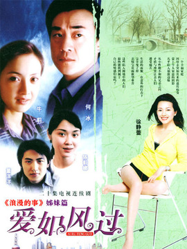 爱如风过剧情介绍_剧情家