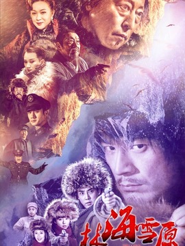 林海雪原剧情介绍_剧情家