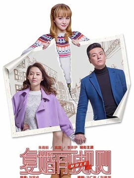 咱们俩复婚吧剧情介绍_剧情家