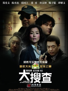 大搜查剧情介绍_剧情家