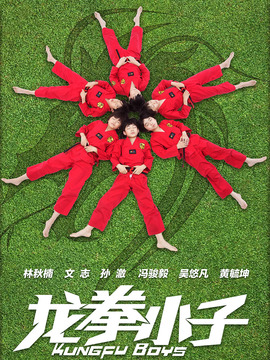 龙拳小子剧情介绍_剧情家