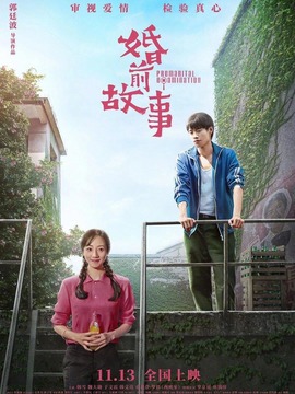 婚前故事剧情介绍_剧情家