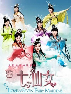 天地姻缘七仙女剧情介绍_剧情家