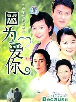 因为爱你剧情介绍_剧情家