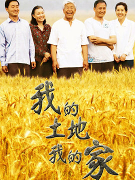我的土地我的家剧情介绍_剧情家