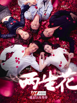 两生花剧情介绍_剧情家