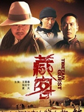 藏客剧情介绍_剧情家
