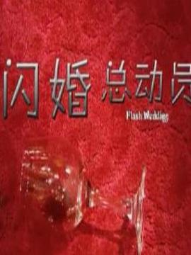 闪婚总动员剧情介绍_剧情家