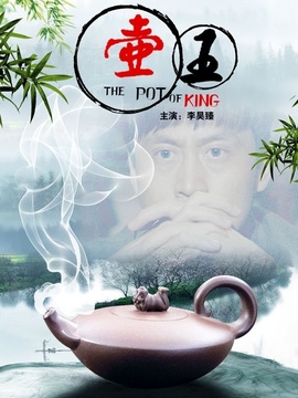 壶王剧情介绍_剧情家