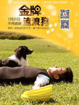 金牌流浪狗剧情介绍_剧情家