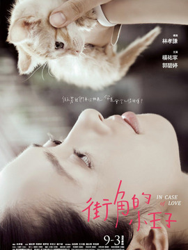 街角的小王子剧情介绍_剧情家