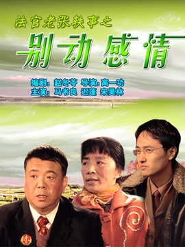 法官老张轶事之别动感情剧情介绍_剧情家