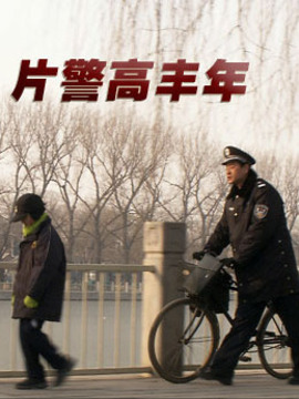 片警高丰年剧情介绍_剧情家