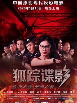狐踪谍影剧情介绍_剧情家