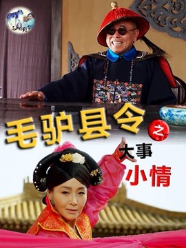 毛驴县令之大事小情剧情介绍_剧情家
