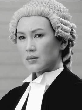法网群英剧情介绍_剧情家