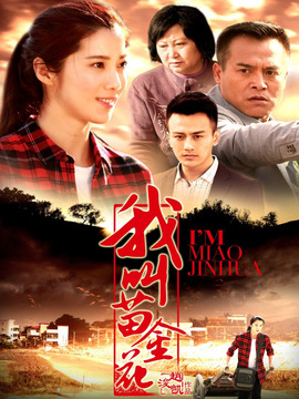 我叫苗金花剧情介绍_剧情家