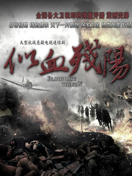 似血残阳剧情介绍_剧情家