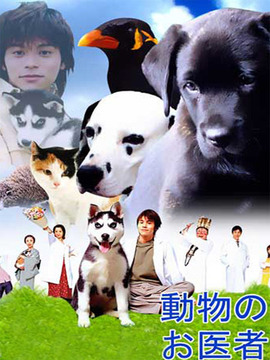 迷糊动物医生剧情介绍_剧情家