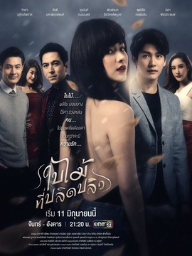吹落的树叶剧情介绍_剧情家
