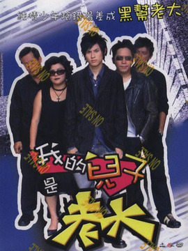 我的儿子是老大剧情介绍_剧情家